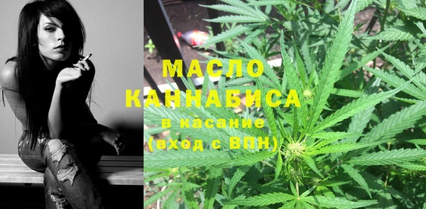 гидра Медвежьегорск